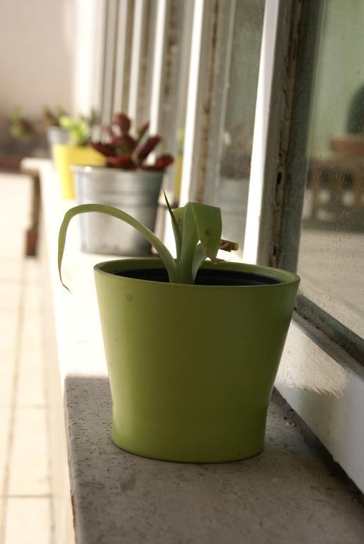 גרבינה די קטניה Hotel Rasula Alta מראה חיצוני תמונה